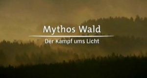 Mythos Wald – Bild: arte