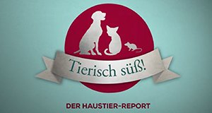 Tierisch süß! – Der Haustier-Report – Bild: Sat.1 Gold Tierisch süß! – Der Haustier-Report – Bild: Sat.1 Gold