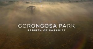 Gorongosa – Ein Paradies kehrt zurück