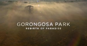 Gorongosa – Ein Paradies kehrt zurück – Bild: PBS/Screenshot Gorongosa – Ein Paradies kehrt zurück – Bild: PBS/Screenshot