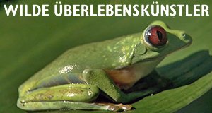 Wilde Überlebenskünstler – Bild: 3sat/Alvaro Mendoza Productions Wilde Überlebenskünstler – Bild: 3sat/Alvaro Mendoza Productions
