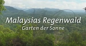 Malaysias Regenwald – Bild: BR Malaysias Regenwald – Bild: BR