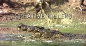 Afrikas cleverste Jäger – Bild: Earth Touch Ltd./Screenshot