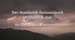 Der Humboldt-Nationalpark im Osten Kubas – Bild: arte Der Humboldt-Nationalpark im Osten Kubas – Bild: arte