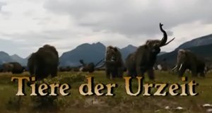 Tiere der Urzeit – Bild: Phoenix/Screenshot Tiere der Urzeit – Bild: Phoenix/Screenshot
