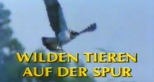 Wilden Tieren auf der Spur – Bild: ZDF Wilden Tieren auf der Spur – Bild: ZDF