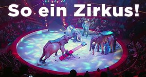 So ein Zirkus! – Bild: arte/Bonne Compagnie So ein Zirkus! – Bild: arte/Bonne Compagnie