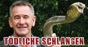 Tödliche Schlangen – Bild: Eden/UKTV Tödliche Schlangen – Bild: Eden/UKTV