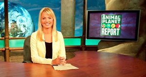 Animal Planet Report – Bild: Will Rothfuss Design