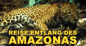 Reise entlang des Amazonas