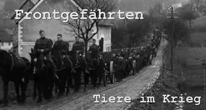 Frontgefährten – Tiere im Krieg – Bild: Spiegel Geschichte/Screenshot