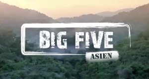 Big Five Asien – Bild: arte Big Five Asien – Bild: arte