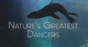 Move it! – Überlebenstanz der Tiere – Bild: BBC/Screenshot Move it! – Überlebenstanz der Tiere – Bild: BBC/Screenshot