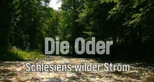 Die Oder – Bild: NDR/coraxfilm GmbH Die Oder – Bild: NDR/coraxfilm GmbH