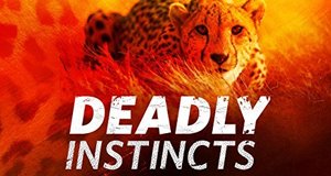 Deadly Instincts – Bild: Nat Geo Wild Deadly Instincts – Bild: Nat Geo Wild
