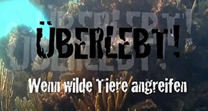 Überlebt! – Wenn wilde Tiere angreifen – Bild: ProSieben MAXX/Screenshot