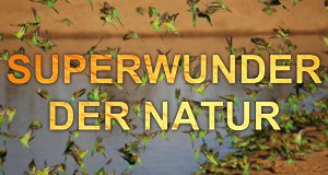 Superwunder der Natur – Bild: ZDF/Lindsay Cupper Superwunder der Natur – Bild: ZDF/Lindsay Cupper