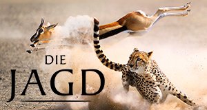 Die Jagd – Auf Leben und Tod – Bild: Silverback Films/BBC/polyband