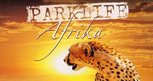 Parklife: Afrika