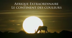 Afrikas wilde Schätze – Bild: Tanguy Dumortier/RTBF/Screenshot Afrikas wilde Schätze – Bild: Tanguy Dumortier/RTBF/Screenshot