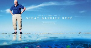 David Attenboroughs Great Barrier Reef – Bild: attenboroughsreef.com/BBC David Attenboroughs Great Barrier Reef – Bild: attenboroughsreef.com/BBC