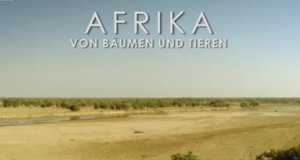 Afrika – Von Bäumen und Tieren – Bild: arte