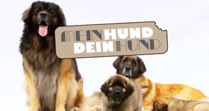 Mein Hund, dein Hund – Bild: VOX