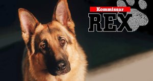 Kommissar Rex – Bild: SAT.1 Kommissar Rex – Bild: SAT.1