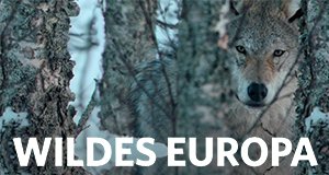 Wildes Europa – Bild: Nat Geo Wild