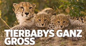 Tierbabys ganz groß – Bild: National Geographic Tierbabys ganz groß – Bild: National Geographic