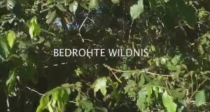 Bedrohte Wildnis – Bild: arte