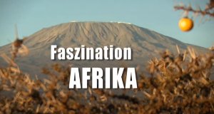 Faszination Afrika – Bild: SR