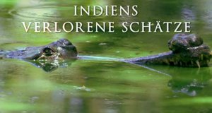 Indiens verlorene Schätze – Bild: Nat Geo Wild/Screenshot