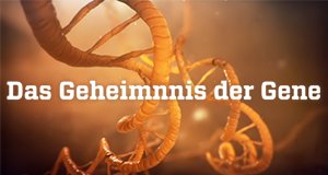 Das Geheimnis der Gene – Bild: ZDF/Pioneer Productions