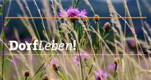 Dorfleben – Bild: SWR Dorfleben – Bild: SWR
