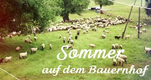 Sommer auf dem Bauernhof – Bild: MDR Sommer auf dem Bauernhof – Bild: MDR
