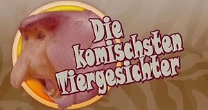 Die komischsten Tiergesichter – Bild: Nat Geo Wild Die komischsten Tiergesichter – Bild: Nat Geo Wild