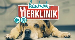 Hautnah: Die Tierklinik – Bild: MG RTL D