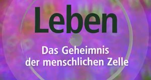 Leben – Das Geheimnis der menschlichen Zelle – Bild: mdr Leben – Das Geheimnis der menschlichen Zelle – Bild: mdr