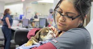 Animal Emergency Room – Bild: Corus® Entertainment Inc.