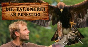 Die Falknerei am Rennsteig – Bild: MDR/Matthias Neuber Die Falknerei am Rennsteig – Bild: MDR/Matthias Neuber