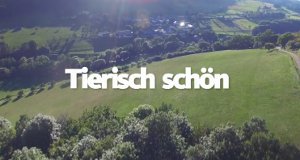 Tierisch schön! – Bild: WDR Tierisch schön! – Bild: WDR
