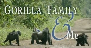 Unter Gorillas – Überleben in der Horde