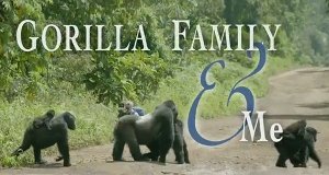 Unter Gorillas Uberleben In Der Horde Fernsehserien De