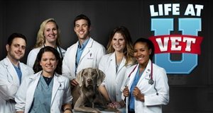 Vet School – Die jungen Tierärzte – Bild: Animal Planet