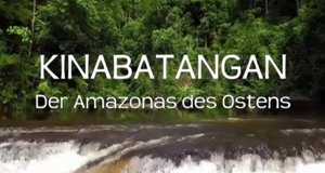 Kinabatangan, der Amazonas des Ostens
