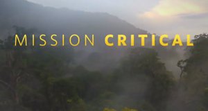 Mission Critical: Tierfilmer extrem – Bild: Nat Geo Wild/Screenshot