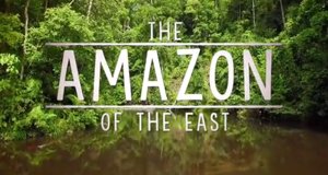 Borneos geheime Wildnis – Bild: ZDF Enterprises/Screenshot
