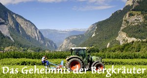 Das Geheimnis der Bergkräuter – Bild: Jakob Stark/Würzinger Film