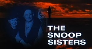The Snoop Sisters